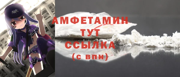 прущие грибы Гусев