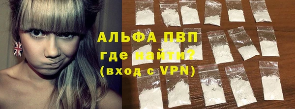 гашик Гусь-Хрустальный