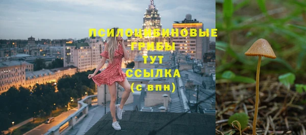 гашик Гусь-Хрустальный