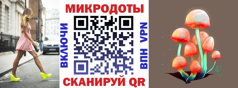 Псилоцибиновые грибы Psilocybe  Гусь-Хрустальный 